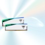 Patriot Viper Elite 5 RGB DDR5 16GB (1 x 16GB) 6000MT/s Módulo - PVER516G60C42W
