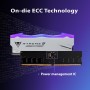 Patriot Viper Xtreme 5 MPOWER DDR5 RGB RAM 32GB (2X16GB) 6000MT/s CL30 UDIMM Desktop Gaming Memory Kit - PVXR532G60C30KM