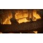 Oddworld Soulstorm: Collector's Oddition