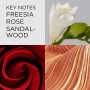 Elizabeth Arden - Red Door, Eau de Toilette, con Lirios del Valle y Rosa Roja, Aroma Floral Intenso, Mezcla de Notas Sensuales,