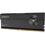 DIMM 32 GB DDR5-8000 (2 x 16 GB) Dual-Kit (Schwarz, FFXD532G8000HC38DDC01, XTREEM, Intel XMP, AMD Expo)