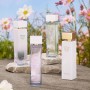 Elizabeth Arden - White Tea, Eau de Toilette en Spray, Perfume Femenino con Té Blanco y Madera de Madrás, con Salvia e Iris,