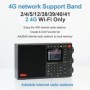 CHOYONG LC90 Radio versión en inglés Bluetooth Radio Fm de todas las b