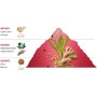 Victorinox Swiss Army For Her Ginger Lily Eau de Toilette Mujer Perfume con Jengibre y Lirio del Valle, Fresco y Revitalizante,
