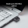 Samsung FIT Plus Flash Drive Interno Unidad de Disco óptico (256GB)