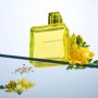 MANDARINA DUCK FRAGRANCES | Woman Eau de Toilette, Perfume Mujer en Spray, Familia olfativa Floral y Especiada, 100 ml