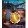 Rintea Guirnalda Luces Exterior, 20M/66FT con 30+2 Bombillas, Luces Exterior Jardin Enchufables, Blanco Cálido 2700 K, IP44