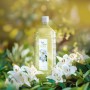 AGUA FRESCA DE RUY - Azahar, Perfume Unisex, Pack de 2 x 750 ml, Colonia Hombre y Mujer, Eau de Toilette Masculina y Femenina,