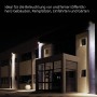 Philips - Proyector LED Profesional Projectline 50W Luz blanca cálida 3000K