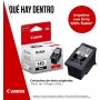 Canon PG-540L, Cartuchos de Tinta Original, 2 Cartuchos de Tinta Independientes en Color Negro, Tamaño L, Compatible con