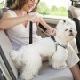 Nutabevr 2 piezas Cinturón de seguridad de coche universal para todos los perros con longitud ajustable - Arnés para mascotas