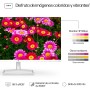 HP 524sa- Monitor de 23.8" FHD con Altavoces Integrados (1920x1080, IPS, 100 Hz, 5ms, 99% sRGB, 300 Nits, contraste 1500:1)
