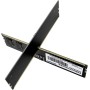 Patriot Memory Serie Signature Memoria RAM DDR5 4800 MHz PC5-38400 16GB (1x16GB) CL40 - PSD516G480081