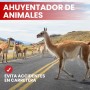 BeWave Super Pack Ahuyentador de Jabalíes para Coche – 4 Unidades | Ultrasonido Repelente para Jabalíes y Otros Animales |