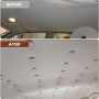 Baxcdyswe 65PCS Chinchetas Techo Coche, Botones Reparación Techo Coche con 65 Pasadores de Colores 1 Destornillador 1 Cinta