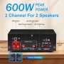 Romicta Amplificador Audio HiFi Estéreo 600W 2 Canales, Bluetooth 5.0, 12V/220V, Pantalla LCD, Alta Fidelidad, Radio FM