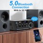 Romicta Amplificador Audio HiFi Estéreo 600W 2 Canales, Bluetooth 5.0, 12V/220V, Pantalla LCD, Alta Fidelidad, Radio FM