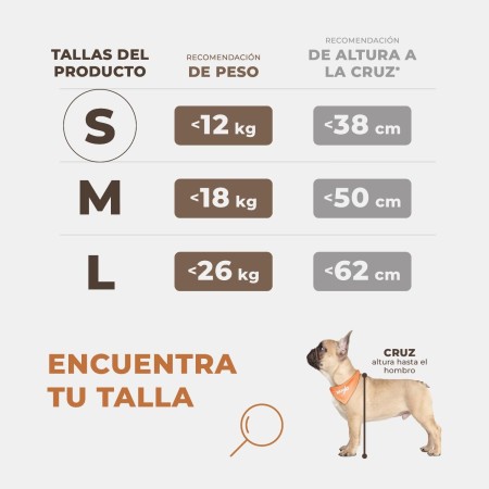 Asiento de coche para perro extra estable – Asiento reforzado para perros de tamaño mediano con 4 correas de sujeción, robusto e