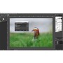 GIMP Editor de Fotos 2025: Software de edición de imágenes Premium y profesional en CD compatible con Windows 11, 10, 8, 7,