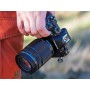 OM System M.Zuiko Digital ED 40-150 F4.0 Pro, El teleobjetivo Zoom más Compacto y Ligero del Mercado*