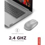 Lenovo 530 - Ratón Inalámbrico de 2.4 GHz, Receptor USB Nano, 1200 dpi, Ambidiestro, Gris Platino