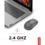 Lenovo 530 Ratón Inalámbrico - Sensor óptico 1200 dpi, Diseño Ambidiestro, 2.4 GHz, 3 Botones, Batería hasta 12 Meses - Color