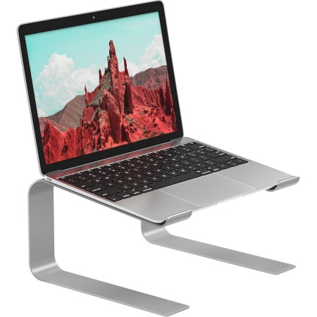 BONTEC Soporte Portátil para Portátil de 10-17 Pulgadas, Soporte de Ordenador Escritorio Ergonómico, Soportar hasta 5 kg, Plata