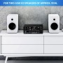 2 Canales Amplificador, 1000W Audio Estéreo, Bluetooth 5.3 Mini Hi-Fi Amp, para Dos 50W x2 Altavoces de Unas 8 Pulgadas,