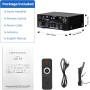 2 Canales Amplificador, 1000W Audio Estéreo, Bluetooth 5.3 Mini Hi-Fi Amp, para Dos 50W x2 Altavoces de Unas 8 Pulgadas,