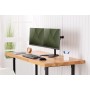 DIGITUS Soporte para monitor - Soporte - 2 monitores - Hasta 32 pulgadas - Hasta 2x 8 kg - VESA 75x75, 100x100 - Negro