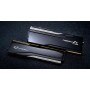 DDR5 48 GB PC 8200 CL40 G.Skill Kit (2 x 24 GB) TR5CK CUDIMM/RGB