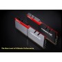 G.Skill F4-3600C17D-32GTZ - Módulo de Memoria DDR4 (32 GB) Color Negro