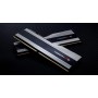 G.SKILL Trident Z5 DDR5 32GB 2x16GB 6000MHz CL30 1.35V XMP 3.0 sidabrinis