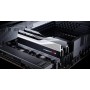 G.SKILL Trident Z5 DDR5 32GB 2x16GB 6000MHz CL30 1.35V XMP 3.0 sidabrinis