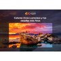 TCL 50V6B 50" 4K Ultra HD, HDR TV, Smart TV Powered by Google TV (Dolby Audio, Motion Clarity, Control por Voz, Compatible con