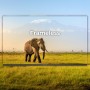 Cecotec Smart TV, Televisor QLED de 43 Pulgadas Resolución 4K UHD V4 Series VQU40043. Google TV, Dolby Vision&Atmos, VRR, HDMI