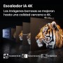 Hisense 55E7Q - QLED Smart TV 55 Pulgadas, Dolby Vision, Dolby Atmos, Modo Juego Plus, 60Hz VRR 120 fps, Modo Deportes,