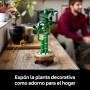 LEGO Botanical Bambú de la Suerte Planta Artificial de Interior, Decoración del Hogar y Oficina, Maqueta para Construir para