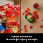 LEGO Botanical Bonsái de Arce Rojo Japonés - Planta Artificial con Hojas Rojas y Naranjas en Maceta - Maqueta para Construir