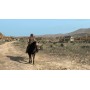 Red Dead Redemption - PS4