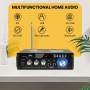 Mini Bluetooth Amplificador Audio, 600W HiFi de 2.0 Canales Audio Stereo Music Reproductor, SD Card/USB Input/FM Radio, para PC,