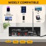 Mini Bluetooth Amplificador Audio, 600W HiFi de 2.0 Canales Audio Stereo Music Reproductor, SD Card/USB Input/FM Radio, para PC,
