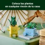 LEGO Botanicals Plantas Felices - Decoración para Estantería y Dormitorio Juvenil - Juguete con 2 Plantas Artificiales de