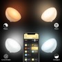 Philips Hue Go Lámpara de Mesa Inteligente LED, con Bluetooth, Luz Blanca y Color, Compatible con Alexa y Google Home