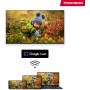 THOMSON Google TV Streaming Box 240, 4K UHD, Google Assistant, Google Cast, Wi-Fi, Bluetooth 5.0, HDMI 2.1, Dolby Atmos, Dolby