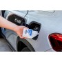 Goodyear Tratamiento Anticristalizante de la Urea para Sistemas AdBlue con Dosificador Pro Additives. Aditivo de AdBlue 250 ml.