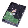 Western Digital-disco duro interno WD para ordenador de escritorio, di