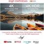 Leyf 4K Android TV Box Original Licensed by Google LLC and Netflix, Disney, Prime Video WiFi, Type-C, HDMI 2.1, USB 3.0,