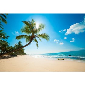 Aoihrraan 1,5x1m Telón de Fondo de Playa Tropical Mar Palmera Azul Océano Sol Fondo de Fotografía Sesión de Boda Campamento de