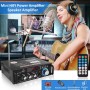 Etlephe Amplificador Audio, Amplificador HiFi, 600W Amplificador Estéreo Bluetooth 5.0,12V 220V 2 Canales, Pantalla LCD, Alta
